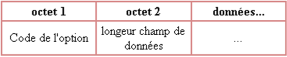 Pseudo en-tête udp 